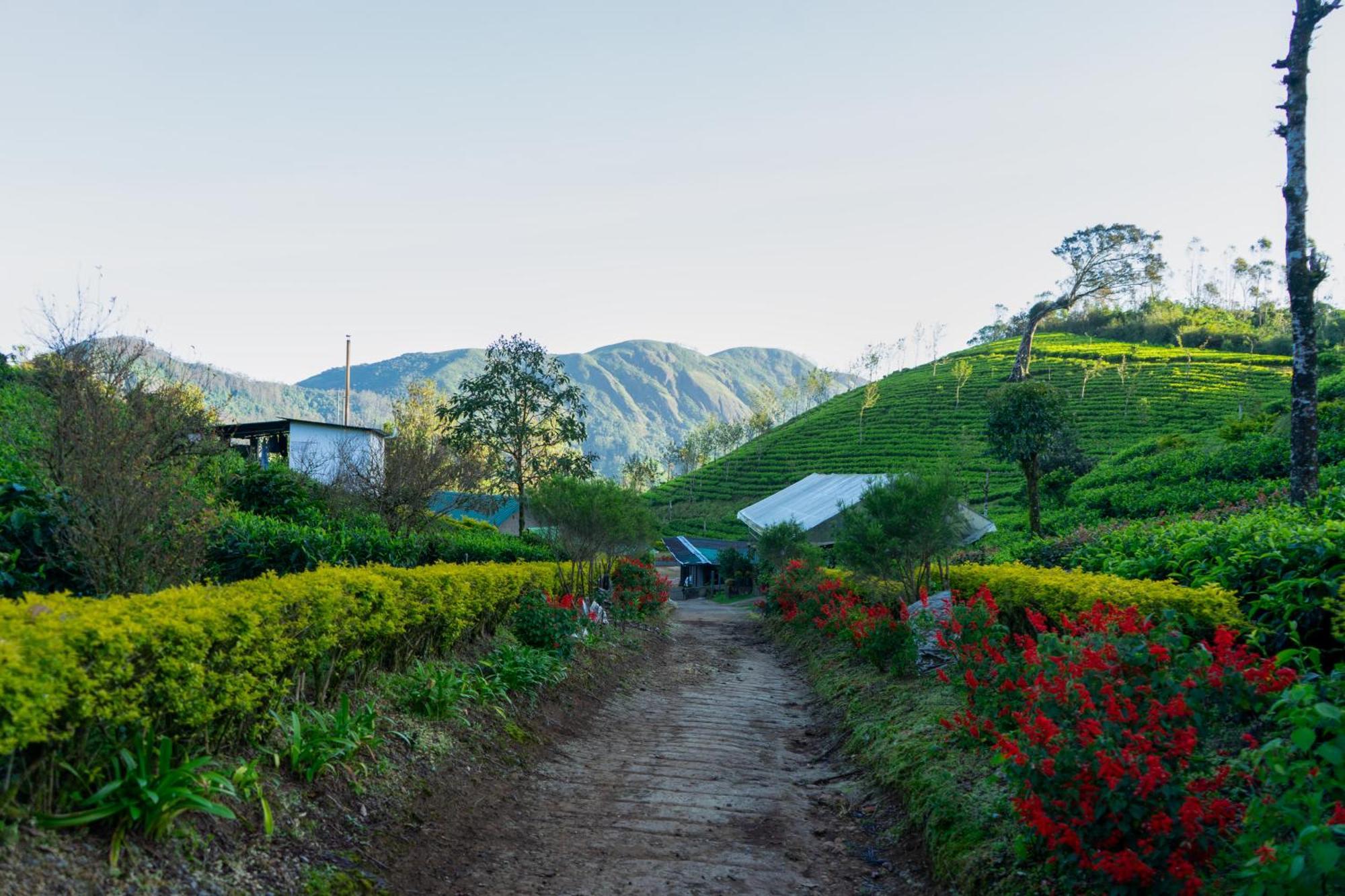 Camelot Resort Munnar Dış mekan fotoğraf